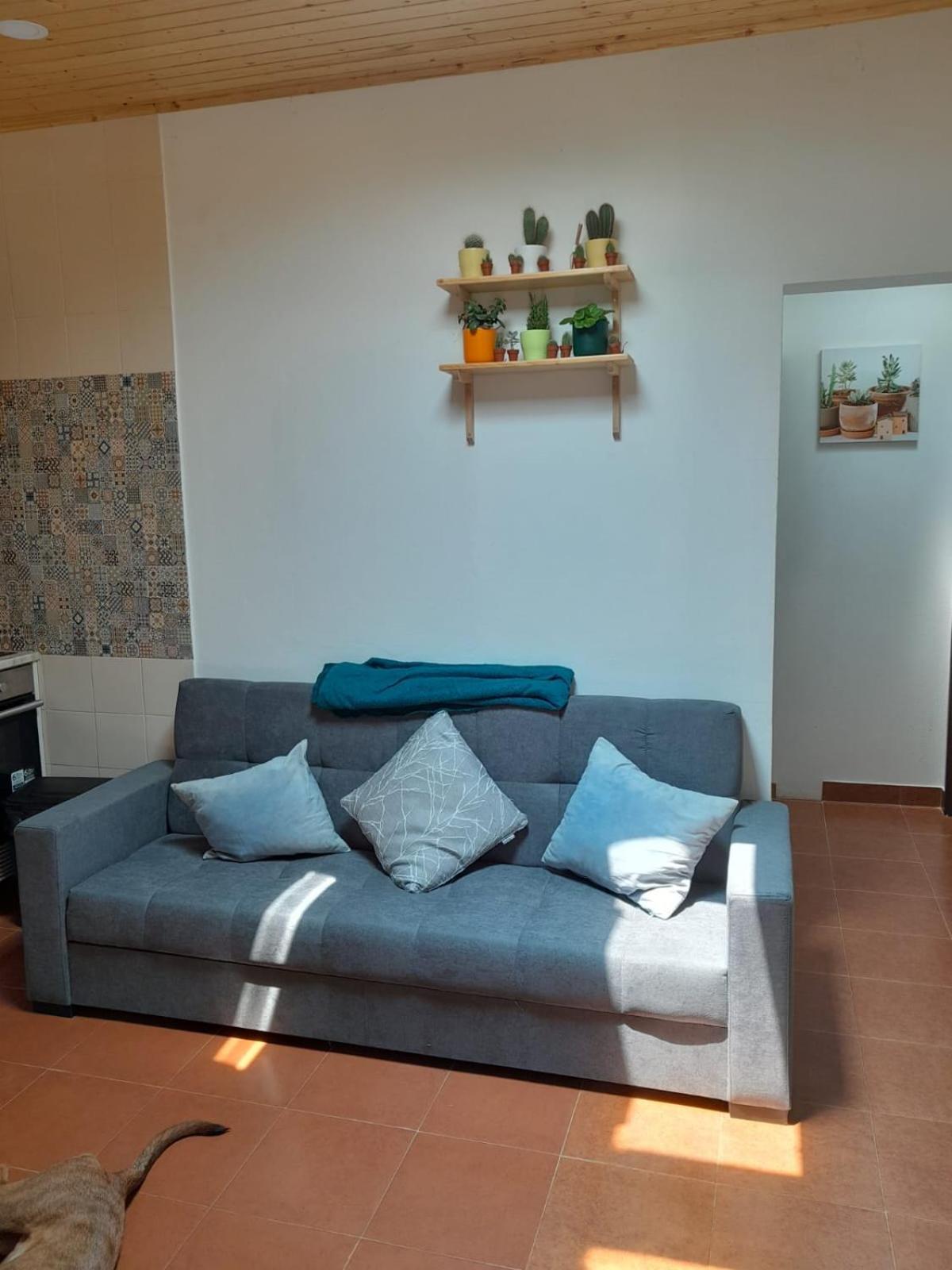 Nadadouro Eco-Country-Cottage エクステリア 写真